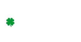 Donnelly Brothers Roofing - White Version Logo